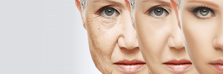 Collagen Treatments that will help fight Ageing