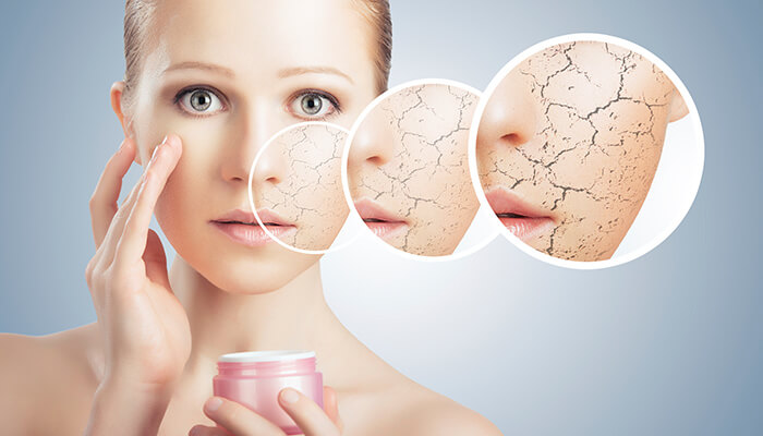Ingredients to Include in your Skin Care Regime for dry skin issues