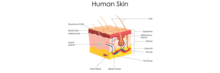 Skin discolouration and change in skin texture