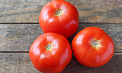 _Tomatoes