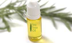 Tea tree oil 