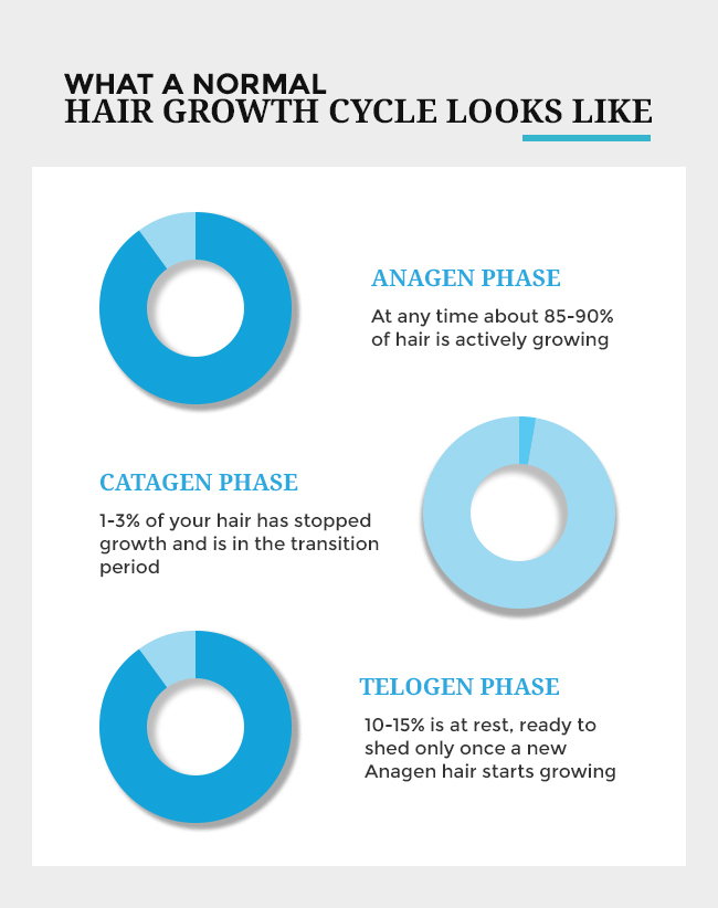 What a normal HAIR GROWTH CYCLE LOOKS LIKE