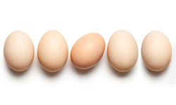 eggs help in enhancing your skin and hair