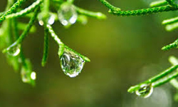 What is Monsoon Ayurveda?