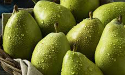 Pears