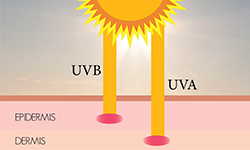 UVA_and_UVB_rays