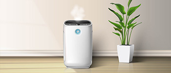 Use Air Purifier to Keep the Surroundings Clean