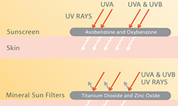 Levels of sunscreen filters
