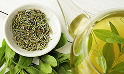 Green Tea Extract