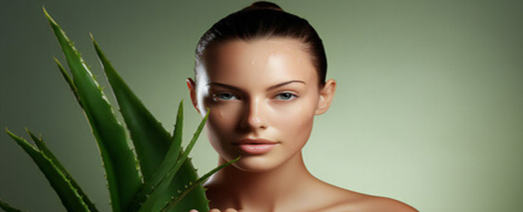 Aloe Vera Benefits for Face and Skin!
